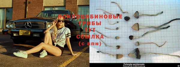 амф Лихославль