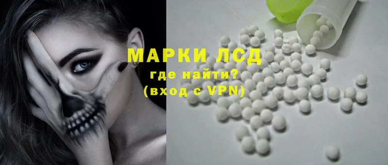 Лсд 25 экстази ecstasy  где купить наркотик  Каменногорск 