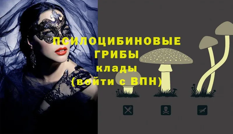 Галлюциногенные грибы Magic Shrooms  Каменногорск 