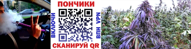 blacksprut ссылки  Каменногорск  Каннабис индика 